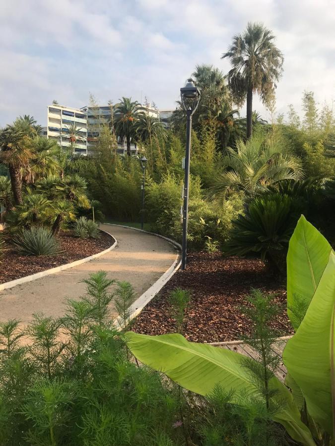 Апартаменти Tres Beau T2 Dans Parc Montfleury ,Proche Centre ,Au Calme 44 Bd Montfleury Канни Екстер'єр фото